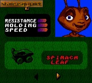 Antz Racing