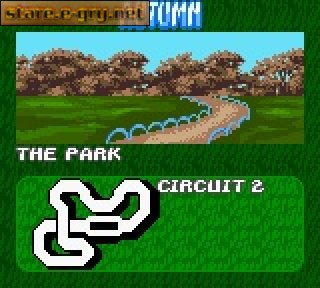 Antz Racing