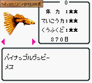 Aqualife
