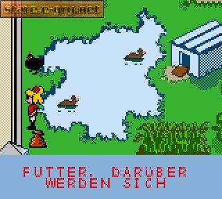 Bibi und Tina: Fohlen Felix in Gefahr
