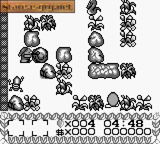 Black Forest Tale