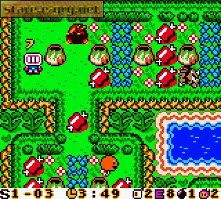 Bomberman Max: Blue Champion