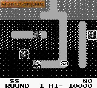 Dig Dug