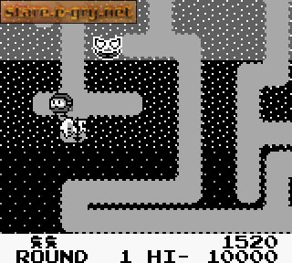 Dig Dug