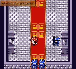 Dokapon!: Millenium Quest
