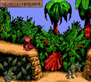 Donkey Kong 2001