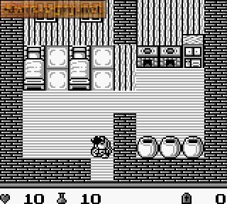 Dragon Slayer Gaiden