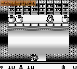 Dragon Slayer Gaiden