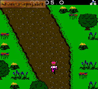 Extreme Sports with The Berenstain Bears