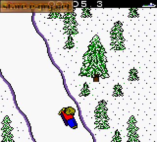 Extreme Sports with The Berenstain Bears