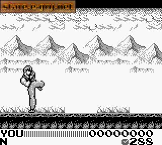 Fighting Simulator 2in1: Flying Warriors