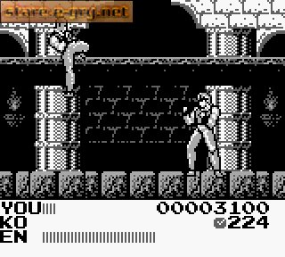 Fighting Simulator 2in1: Flying Warriors