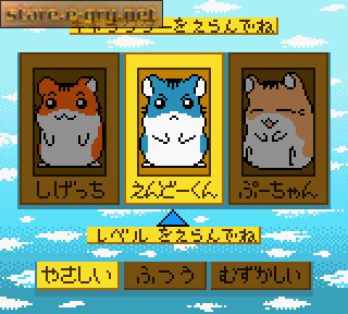 Hamster Club: Awasete Chuu