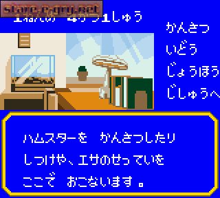 Hamster Monogatari GB + Magi Ham Mahou no Shoujo