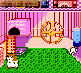 Hamster Paradise