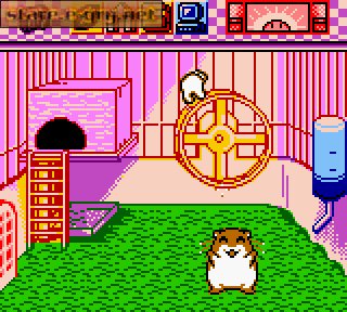Hamster Paradise