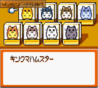 Hamster Paradise 4
