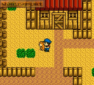 Harvest Moon GB (PL)
