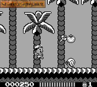 Hudson's Adventure Island