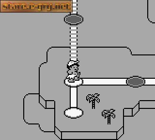 Hudson's Adventure Island II
