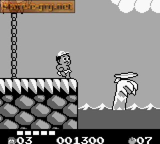 Hudson's Adventure Island II