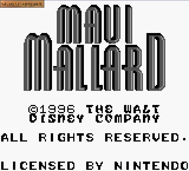 Maui Mallard
