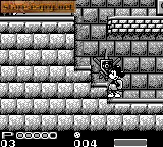 Mickey Mouse: Tokyo Disneyland