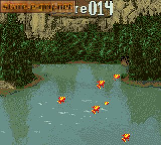 Moorhen 3: The Chicken Chase!