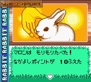 Nakayoshi Pet Series 2: Kawaii Usagi