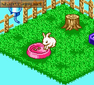 Nakayoshi Pet Series 2: Kawaii Usagi