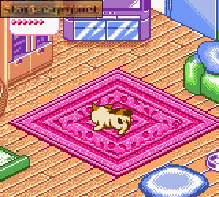 Nakayoshi Pet Series 4: Kawaii Koneko