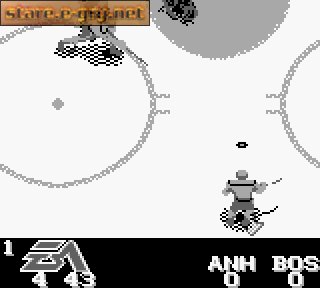 NHL Hockey '96