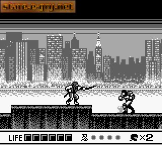 Ninja Gaiden Shadow