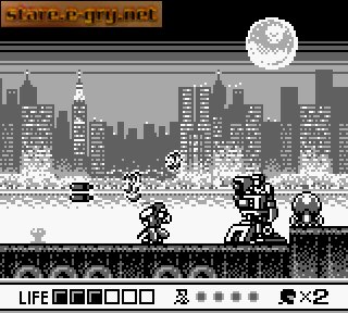 Ninja Gaiden Shadow