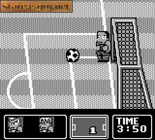 Nintendo World Cup