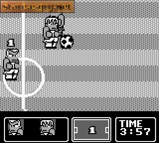 Nintendo World Cup