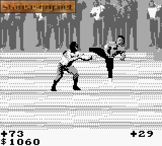 Pit-Fighter