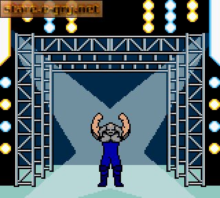 Pocket Pro Wrestling - Perfect Wrestler