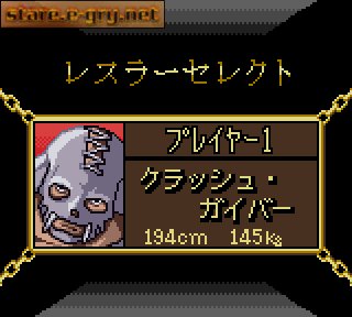 Pocket Pro Wrestling - Perfect Wrestler