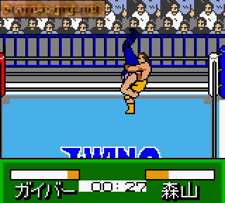 Pocket Pro Wrestling - Perfect Wrestler