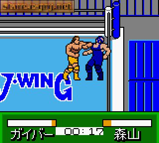 Pocket Pro Wrestling - Perfect Wrestler