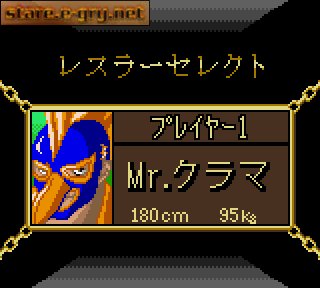 Pocket Pro Wrestling - Perfect Wrestler