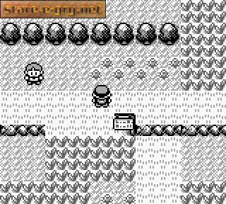 Pokemon Blue Version