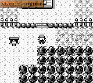 Pokemon Brown