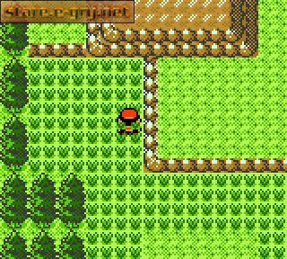 Pokemon Gold Version (PL)