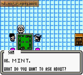 Pokemon TCG: Mint's Adventure