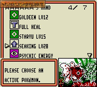 Pokemon Trading Card Game