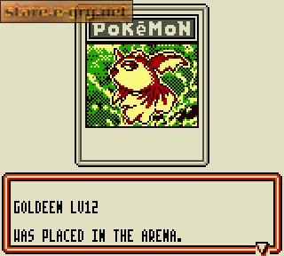Pokemon Trading Card Game