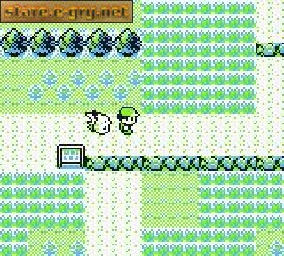 Pokemon Yellow Version