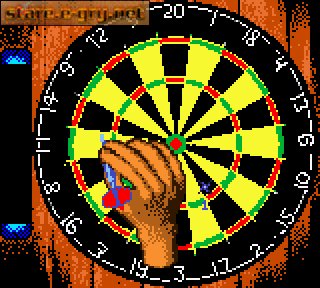 Pro Darts